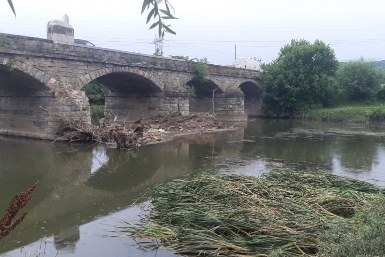 viber_изображение_2022-06-23_10-54-06-309