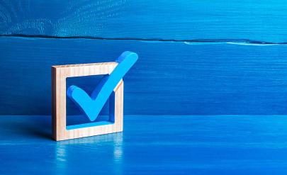 405-247-izbori-glasuvane