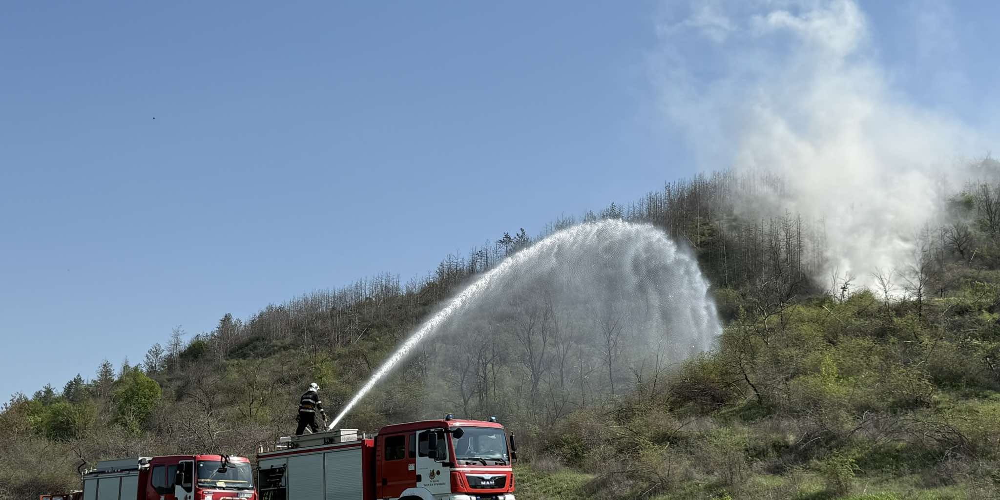 490985917_1341264660396861_4587091693294366357_n