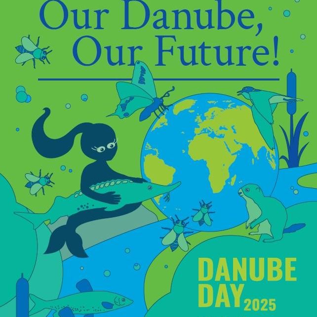 ef64a5f722dc53ea1eb99aeaaae9240c24015509